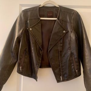 The Limited Biker jacket